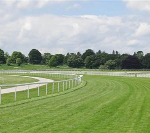 horse-track1